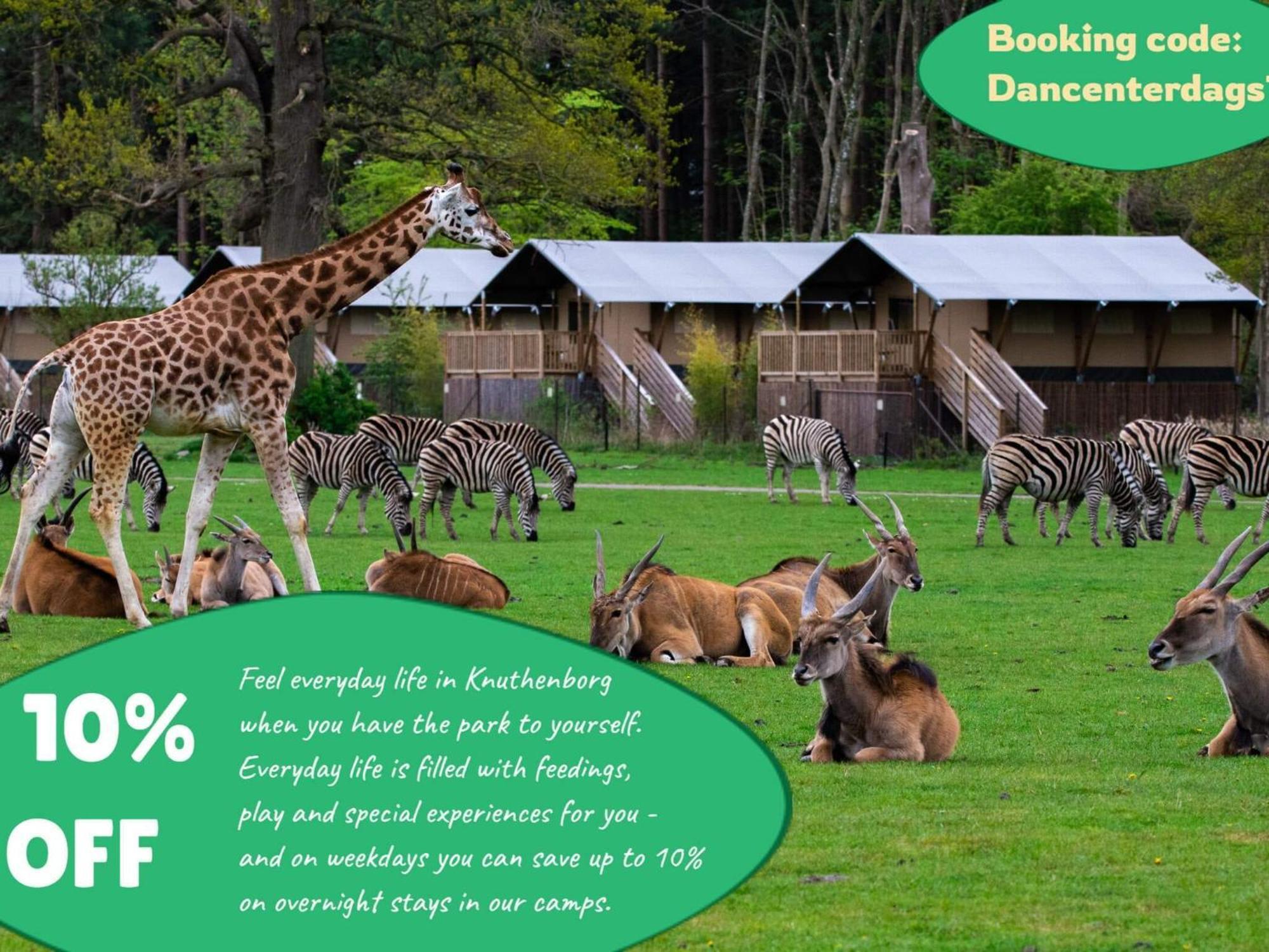 4 Person Holiday Home On A Holiday Park In Borre Luaran gambar